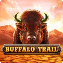 Buffalo of Trail